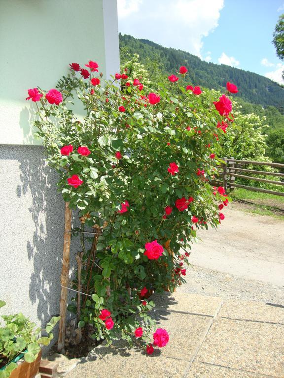 Gruberbauer Remsach Bad Gastein