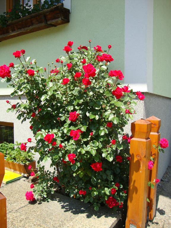 Gruberbauer Remsach